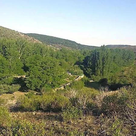 Rural
