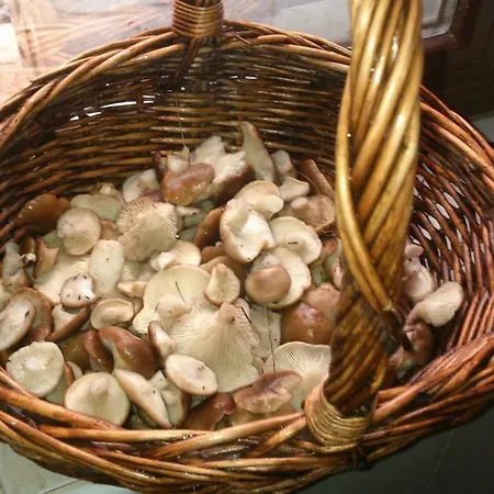 Rural Grado del Pico