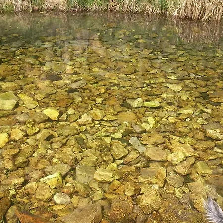Rural * Grado del Pico