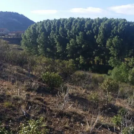 Rural * Grado del Pico