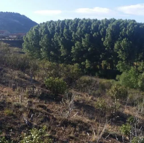 Rural * Grado del Pico